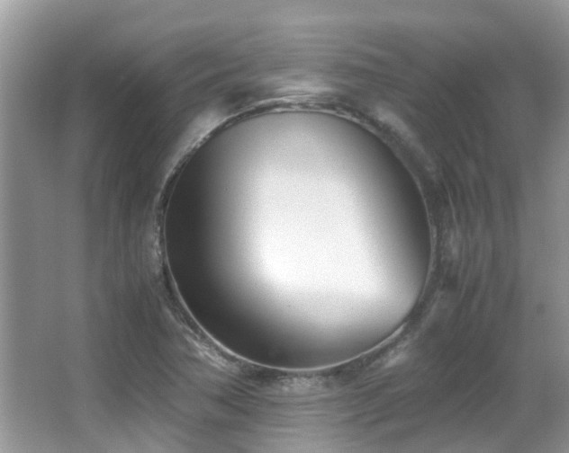 X0000066981362200603241226