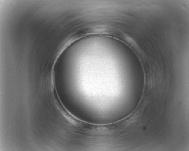 X0000066981370200603241225