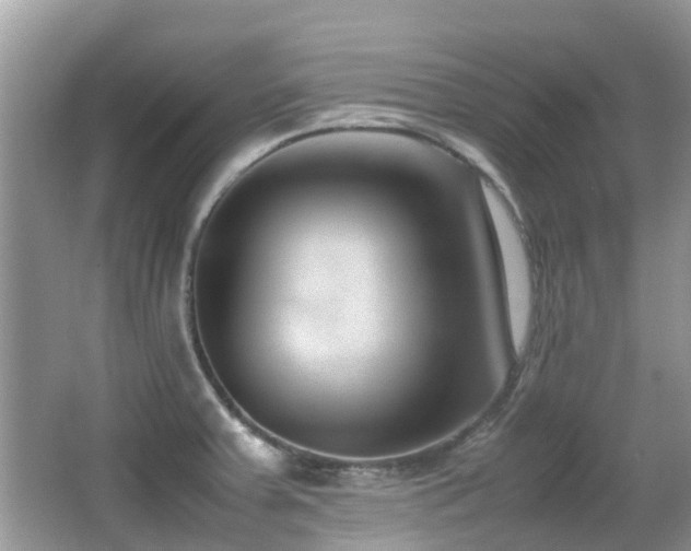 X0000066981379200603241225