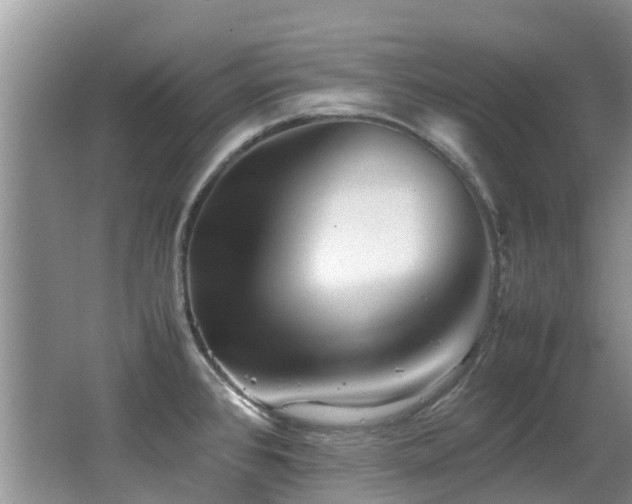 X0000066981384200603241225