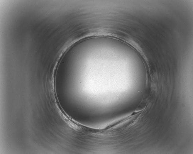 X0000066981388200603241225