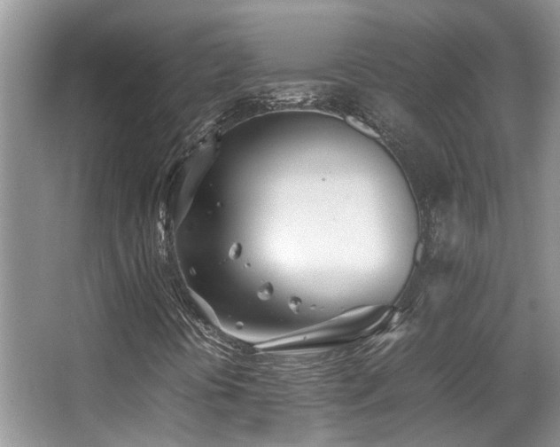 X0000066981394200603241224