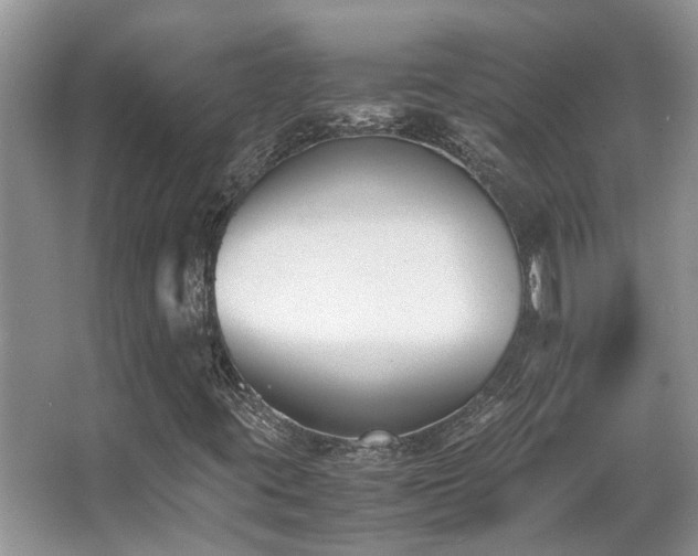 X0000066981395200603241224