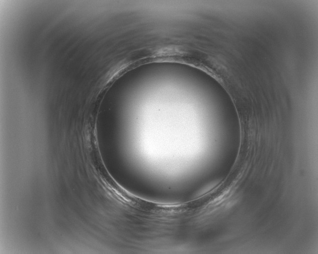 X0000066981401200603241224