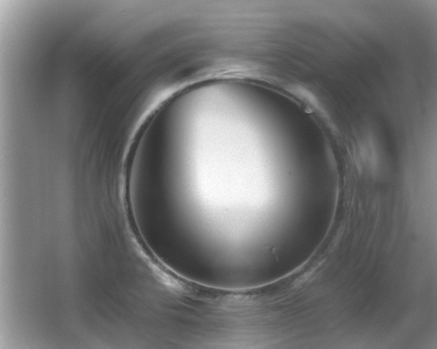 X0000066981424200603241225