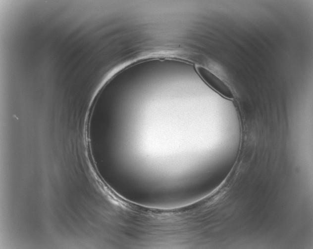 X0000066981436200603241225