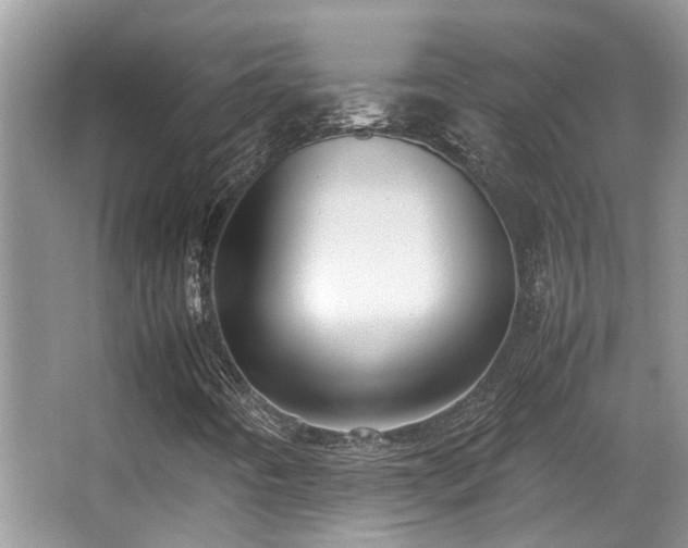 X0000066981442200603241224