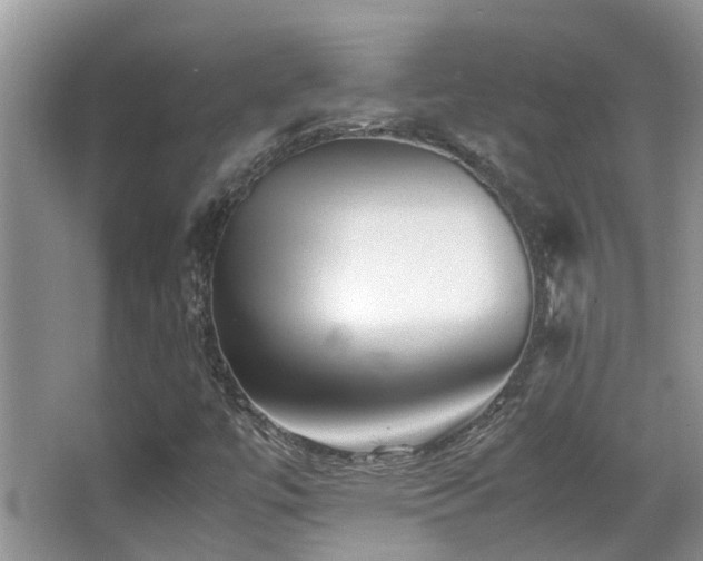 X0000066981447200603241224