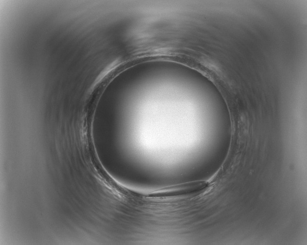 X0000066981450200603241224