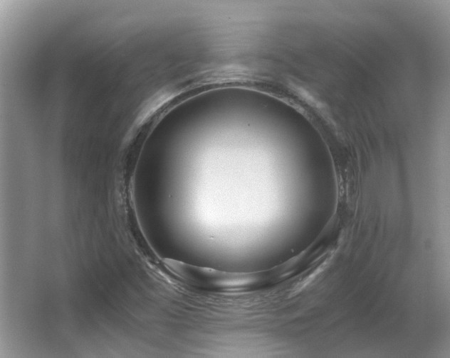 X0000066981453200603241224