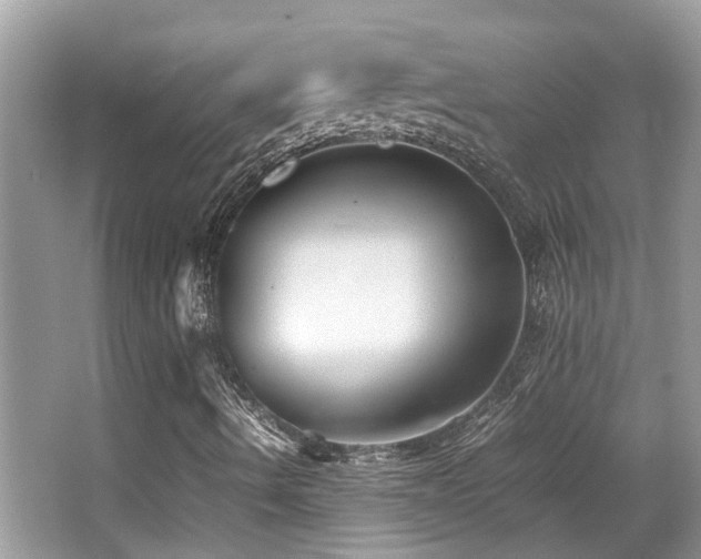 X0000066981490200603241223