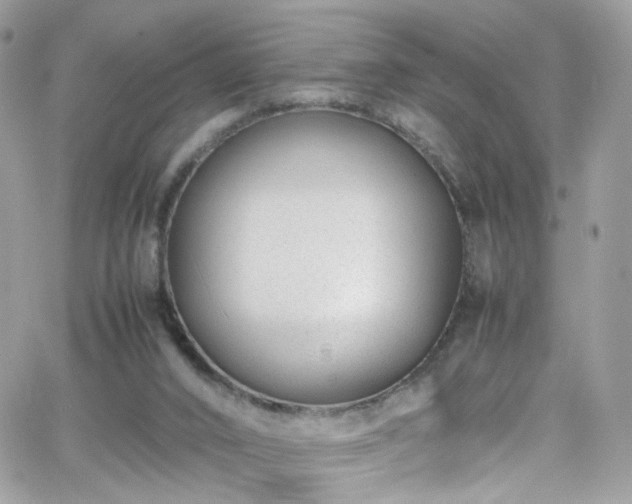 X0000066980016200603271245