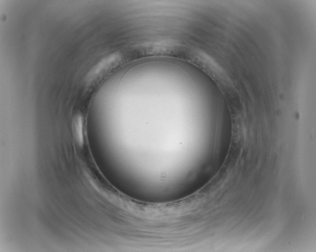 X0000066980022200603271245