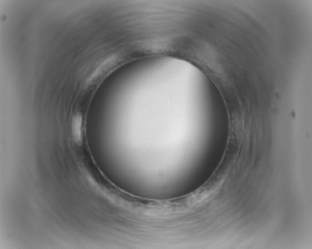 X0000066980024200603271245