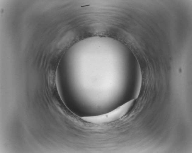 X0000066980044200603271245