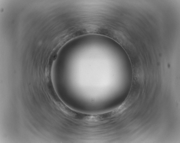X0000066980082200603271245