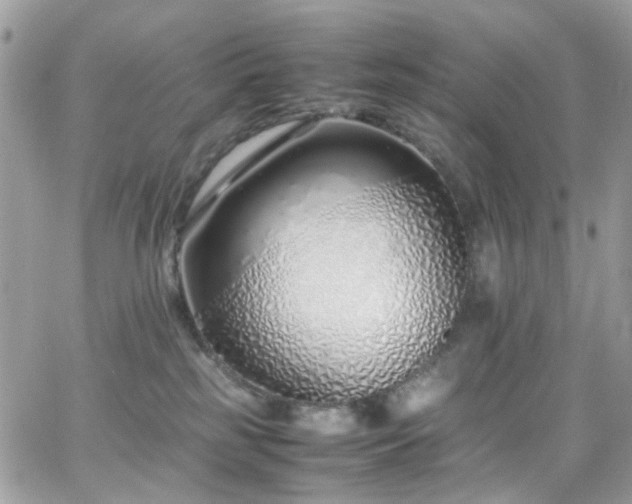 X0000066980185200603271243