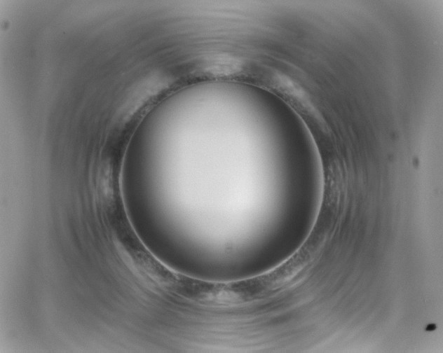 X0000066980212200603271242