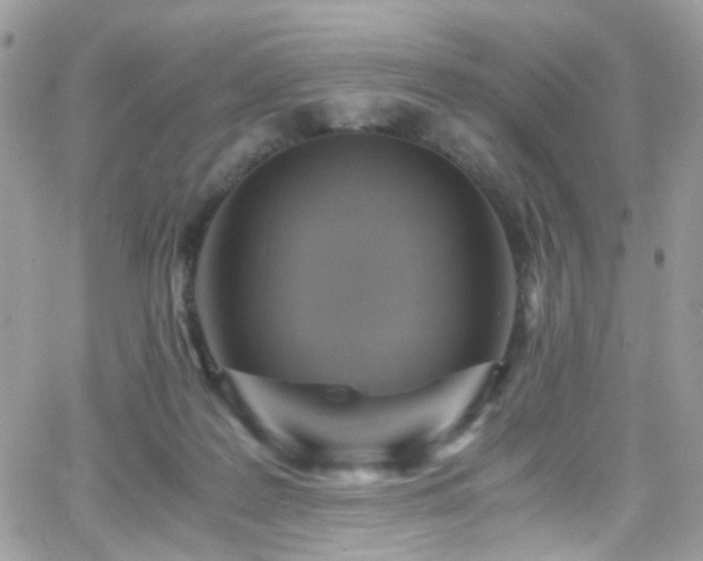 X0000066980219200603271242