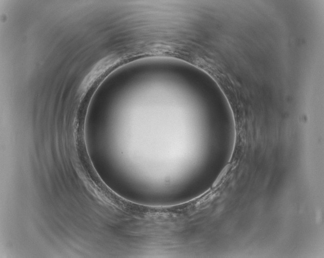 X0000066980242200603271241