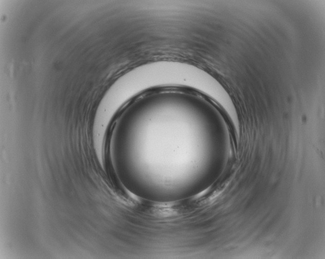 X0000066980287200603271242