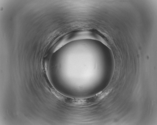 X0000066980288200603271242