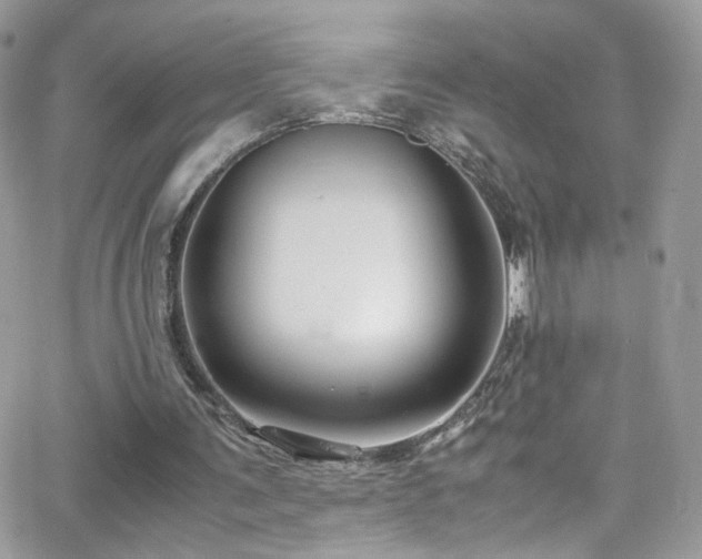 X0000066980291200603271241