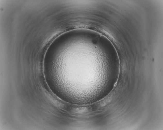 X0000066980353200603271240