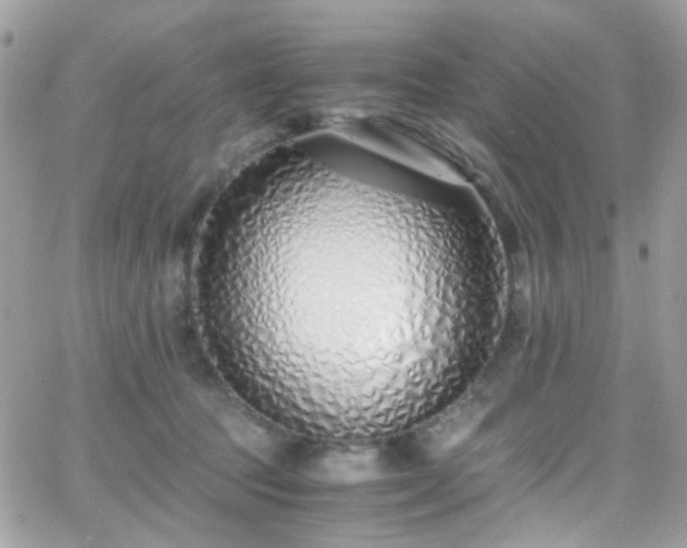 X0000066980369200603271240