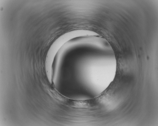 X0000066980380200603271240