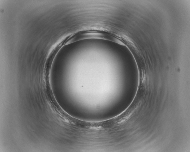 X0000066980388200603271239