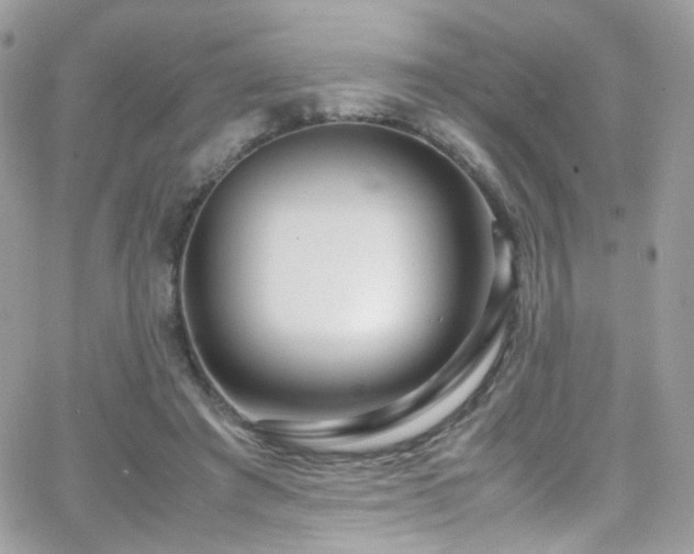 X0000066980401200603271239