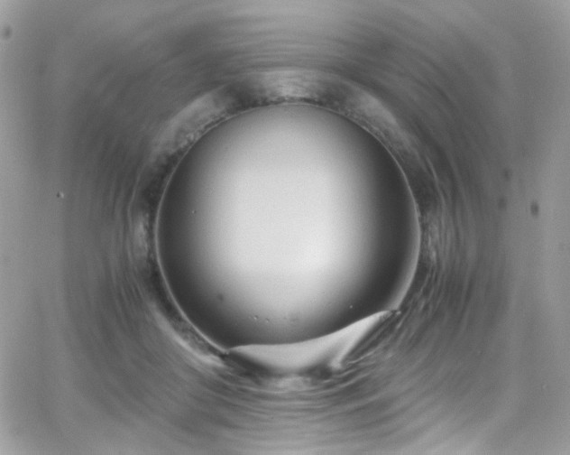 X0000066980410200603271239