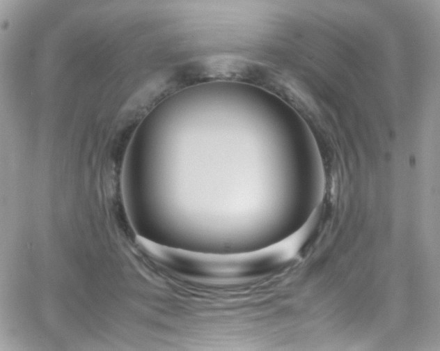 X0000066980413200603271239