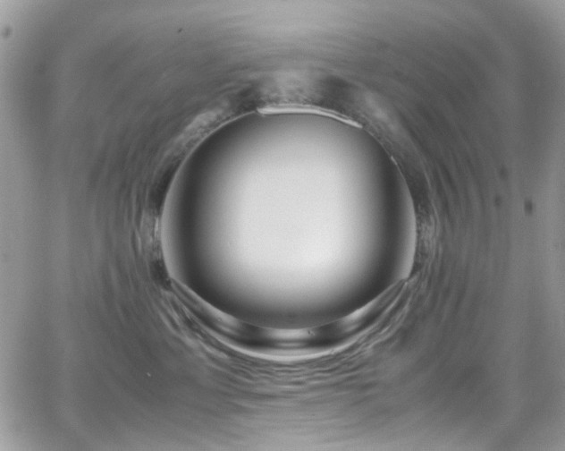 X0000066980429200603271239