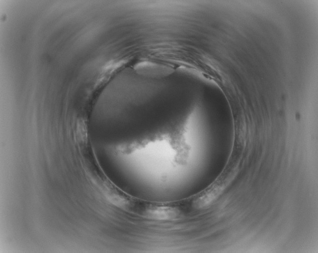 X0000066980467200603271238