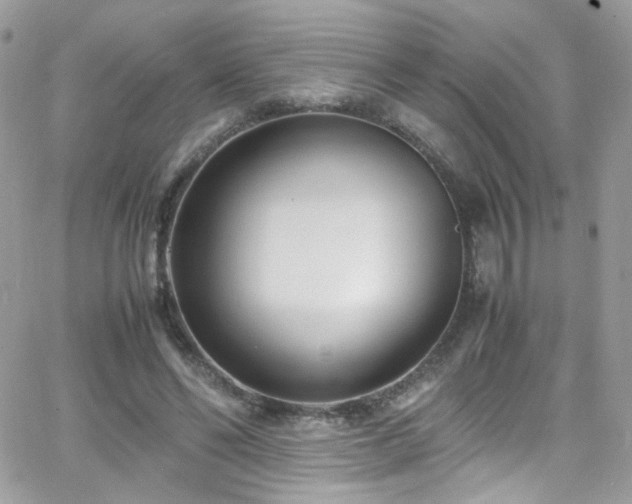 X0000066980494200603271237