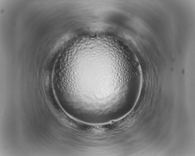 X0000066980495200603271237