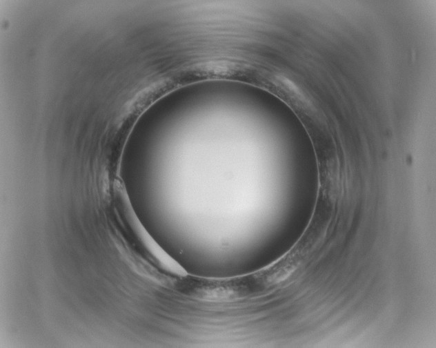 X0000066980500200603271237