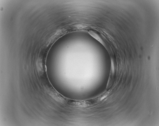 X0000066980524200603271237