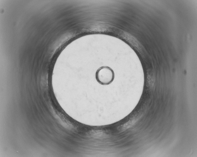 X0000066980534200603271236