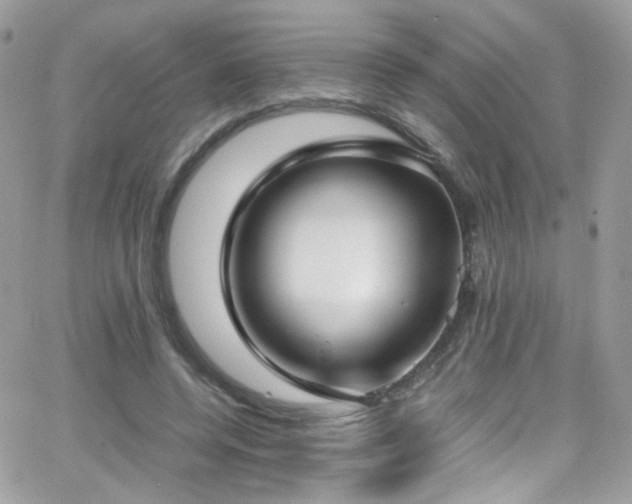 X0000066980544200603271236