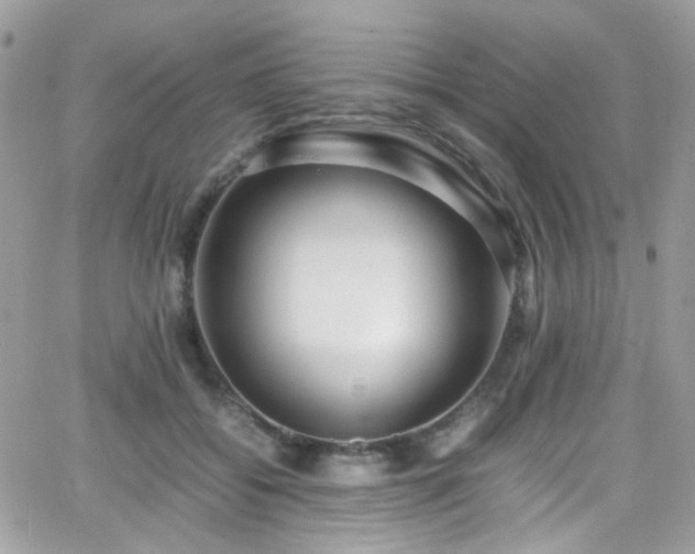 X0000066980556200603271236