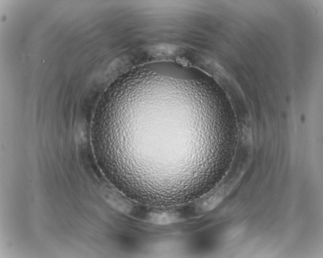X0000066980561200603271237