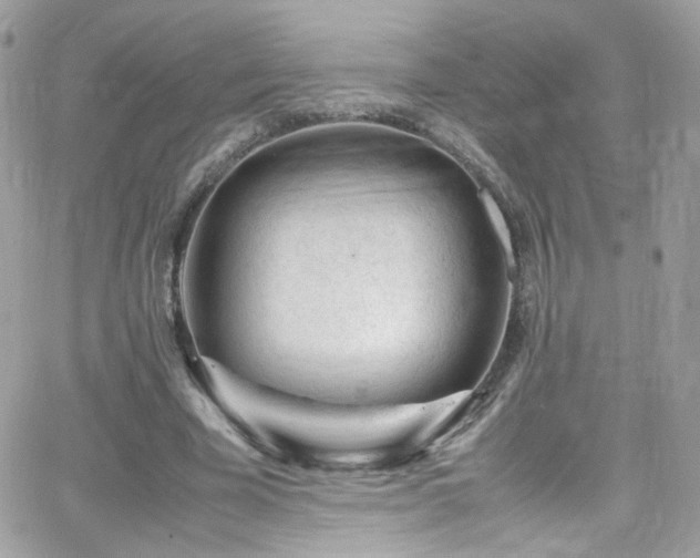 X0000066980585200603271236
