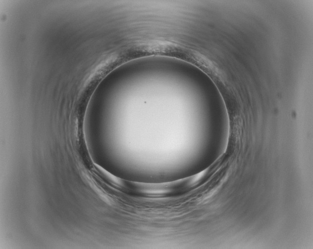 X0000066980589200603271236