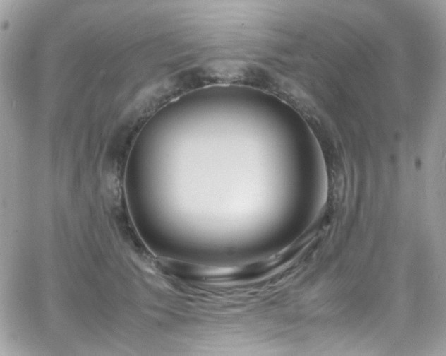 X0000066980609200603271235
