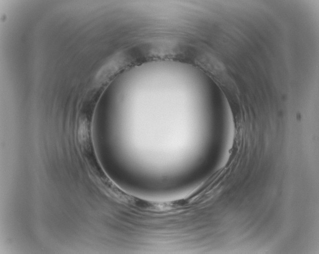 X0000066980623200603271235
