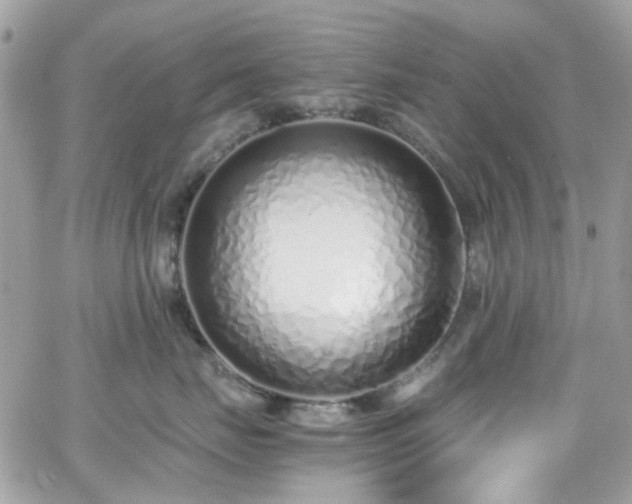 X0000066980671200603271235