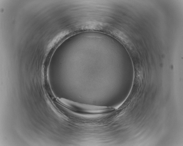 X0000066980678200603271234